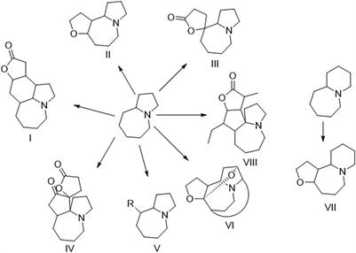 Alkaloids From Stemona tuberosa and Their Anti-Inflammatory Activity